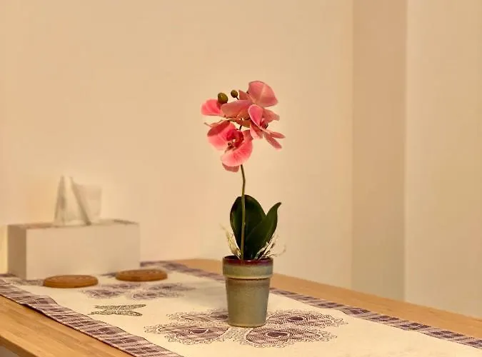 Nature - Minutes Away From The Old Town And Afi Mall Apartment Brasov